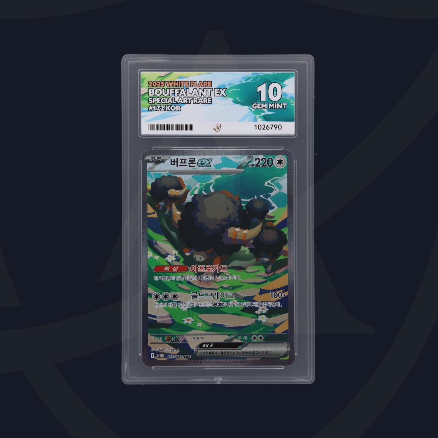 Pokémon Bouffalant ex 172/086 White Flare Koreanisch | ACE 10 Gem Mint